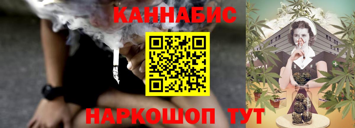 Марихуана сатива Гатчина